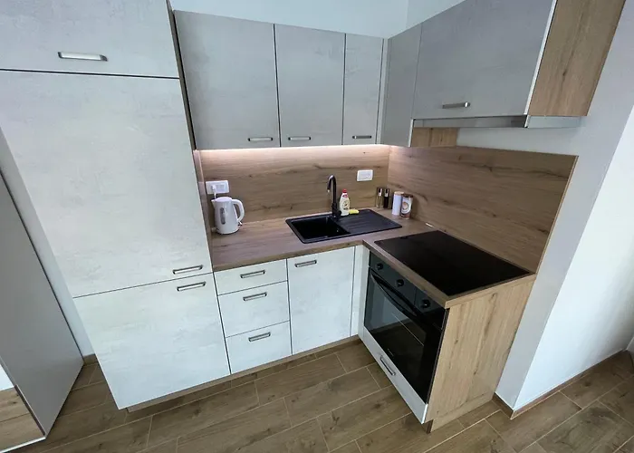 Apartments Opatija Apartment Opatija