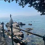 Apartments Opatija *